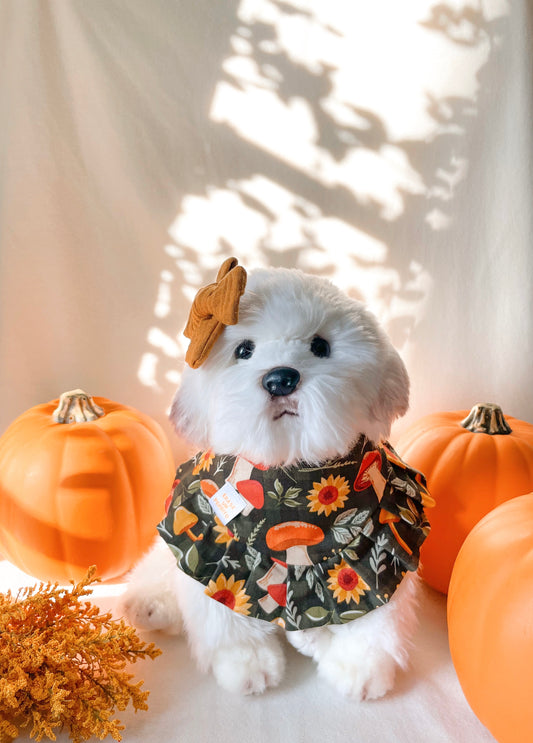 SEPTEMBER DAYS BANDANA