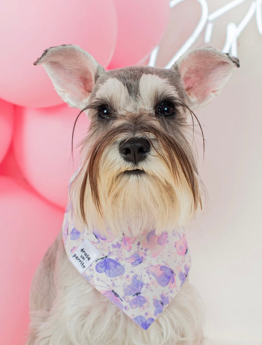 BUTTERFLY PATCH BANDANA