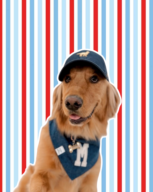 DENIM BANDANA