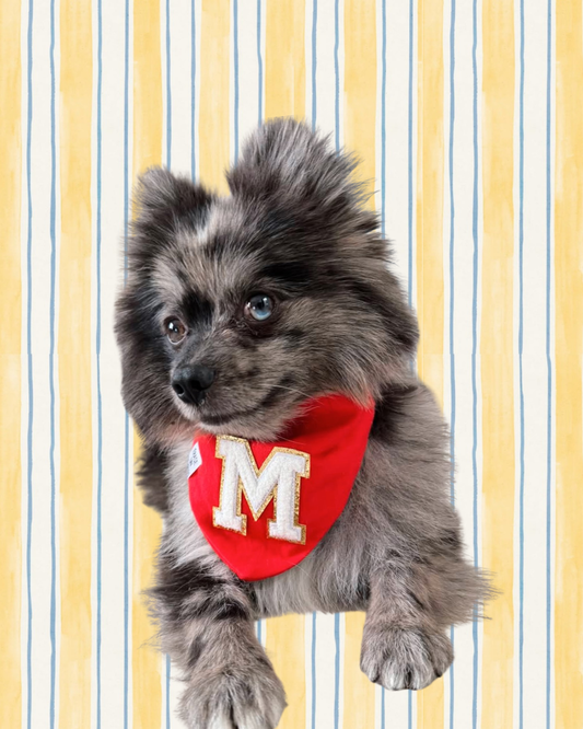RED BANDANA - INICIAL