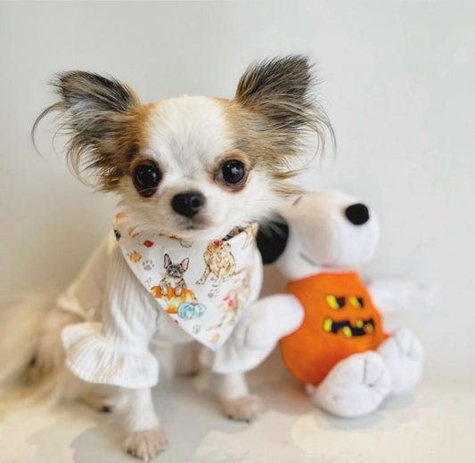 AUTUMN DOGS BANDANA