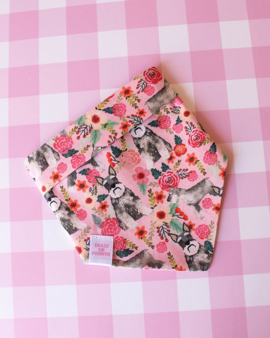 SCHNAUZER BANDANA