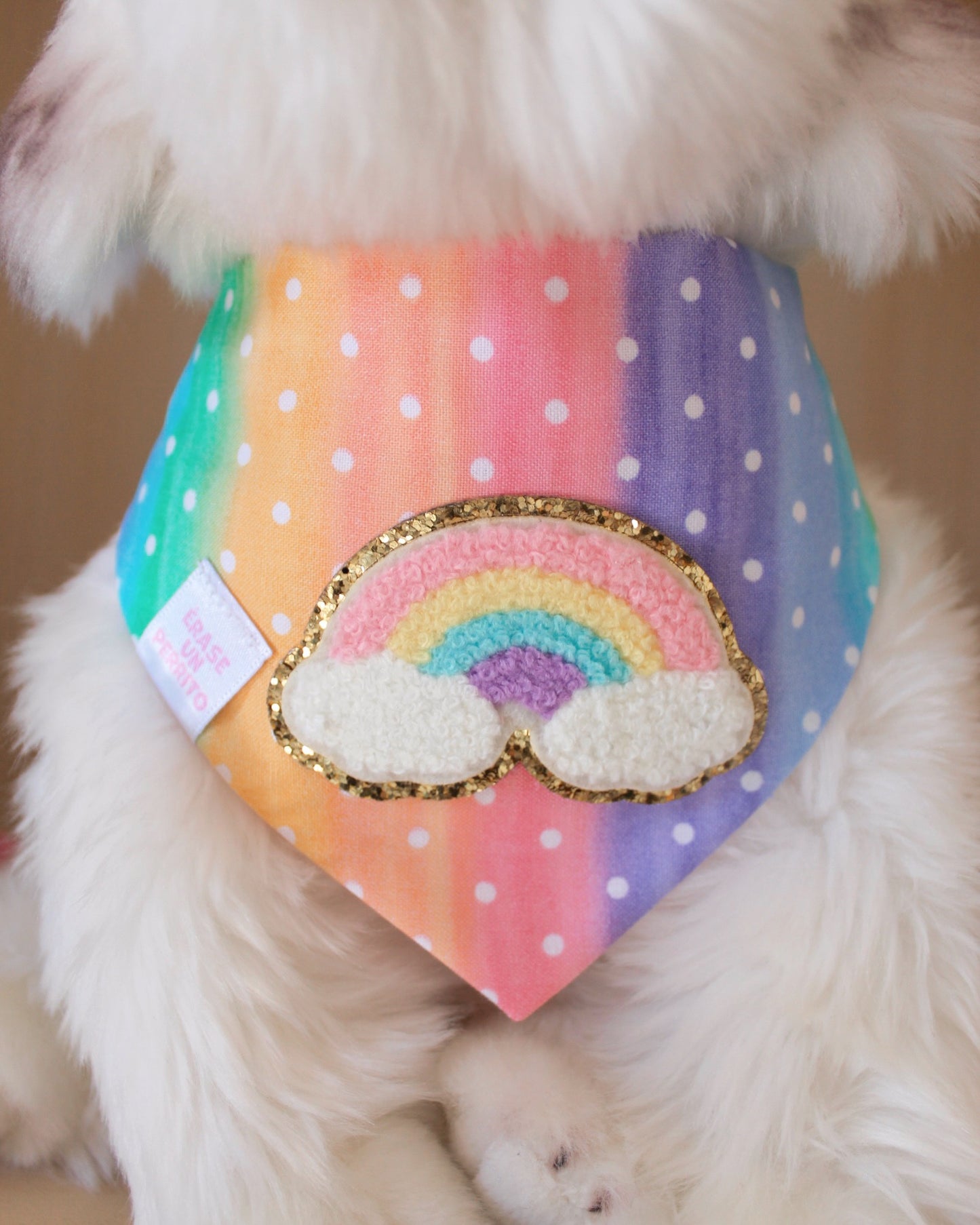 RAINBOW BANDANA