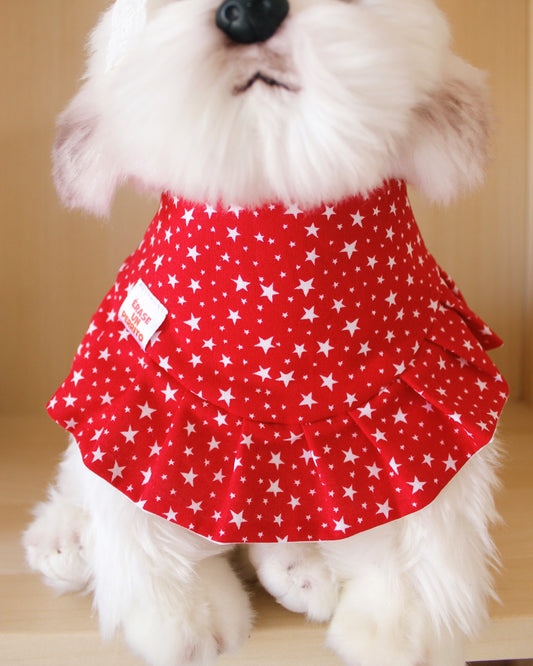 RED BANDANA