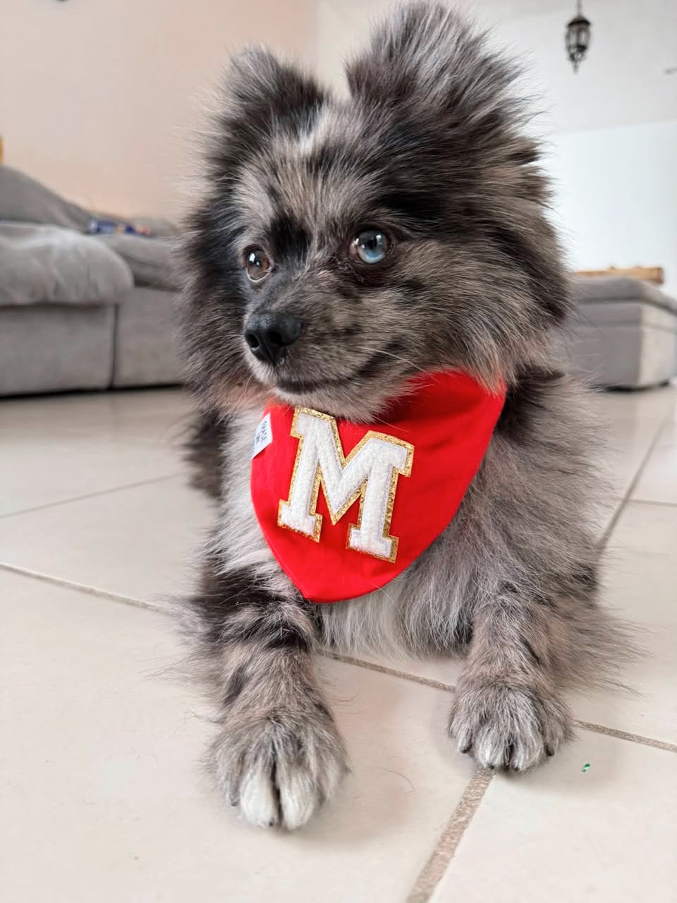 RED BANDANA - INICIAL
