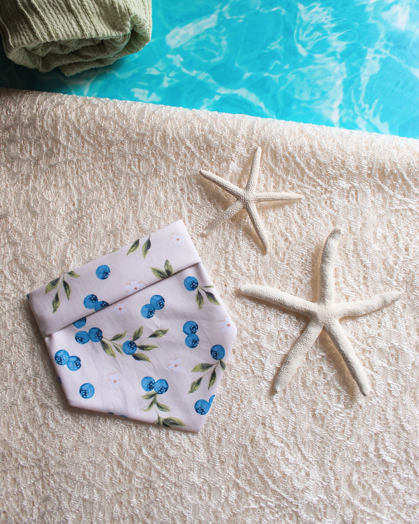 BLUEBERRIES BANDANA