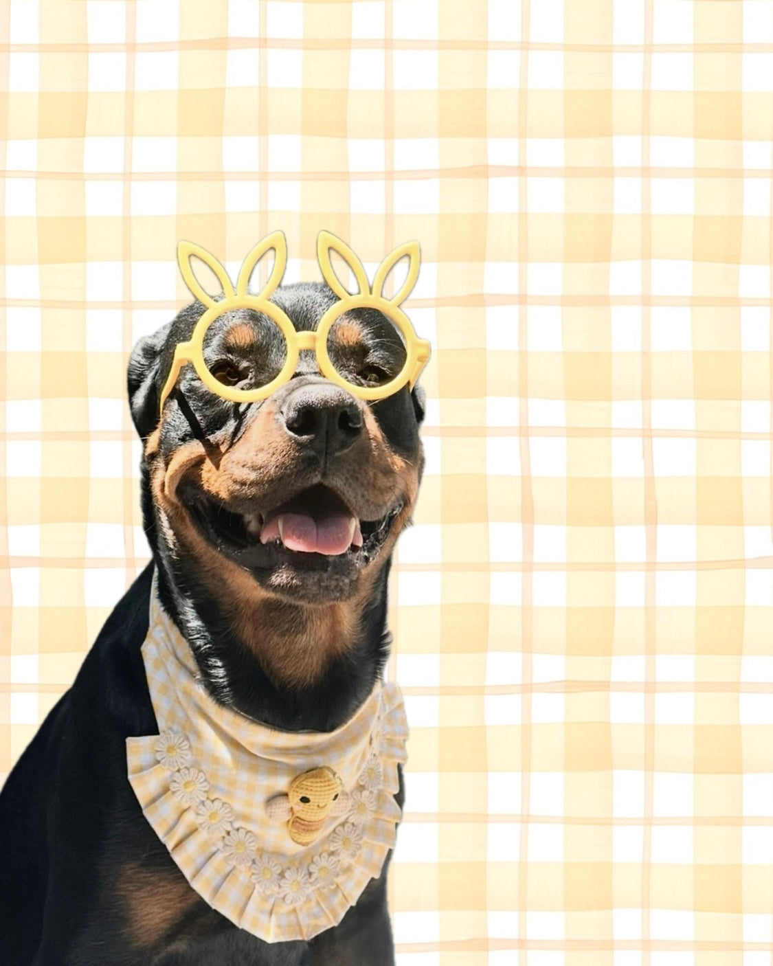 HAPPY BEE BANDANA