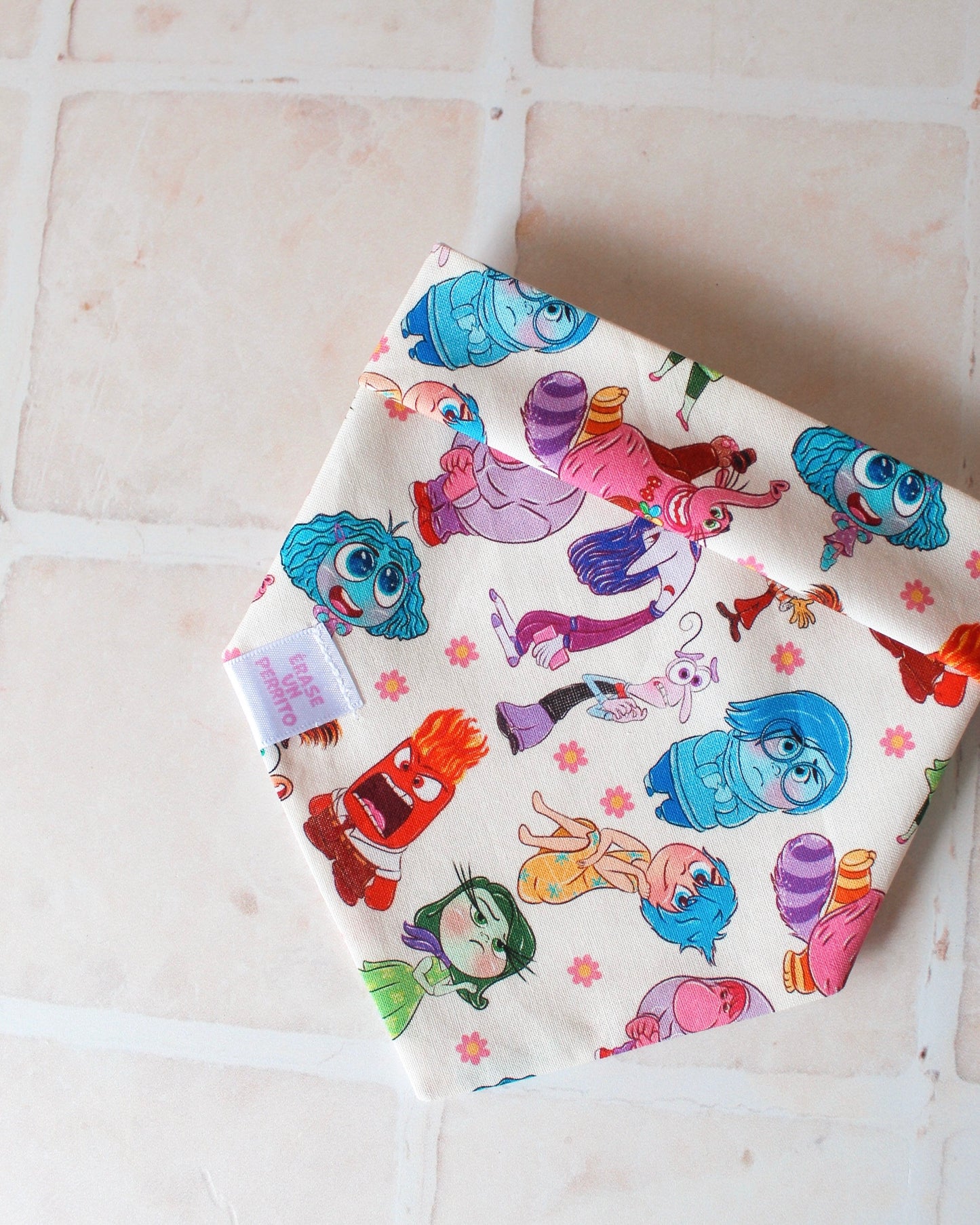 INSIDE OUT BANDANA