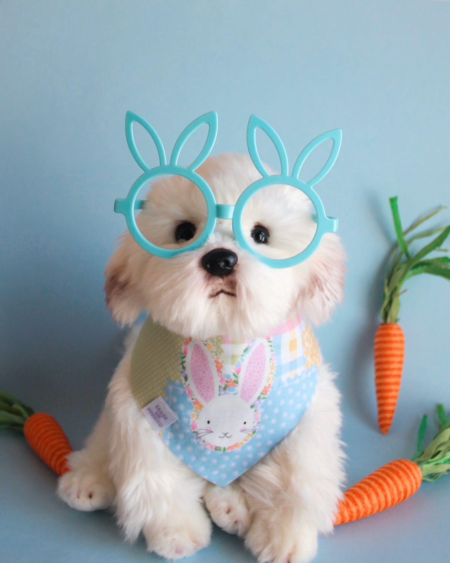 SWEET SPRING BANDANA