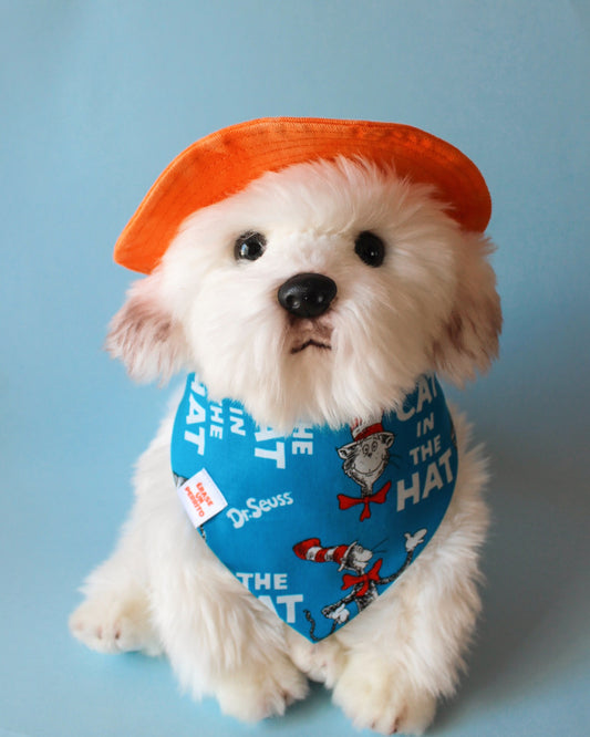 CAT IN THE HAT BANDANA